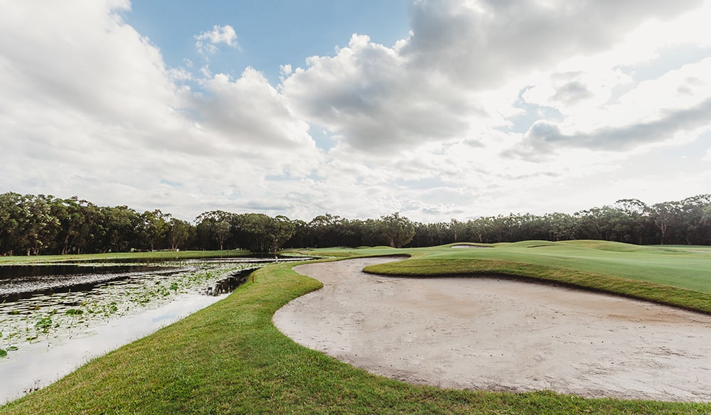 Homehole14