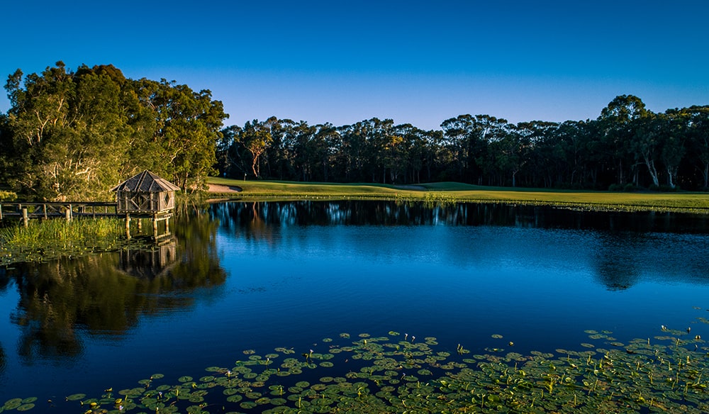 Homehole15